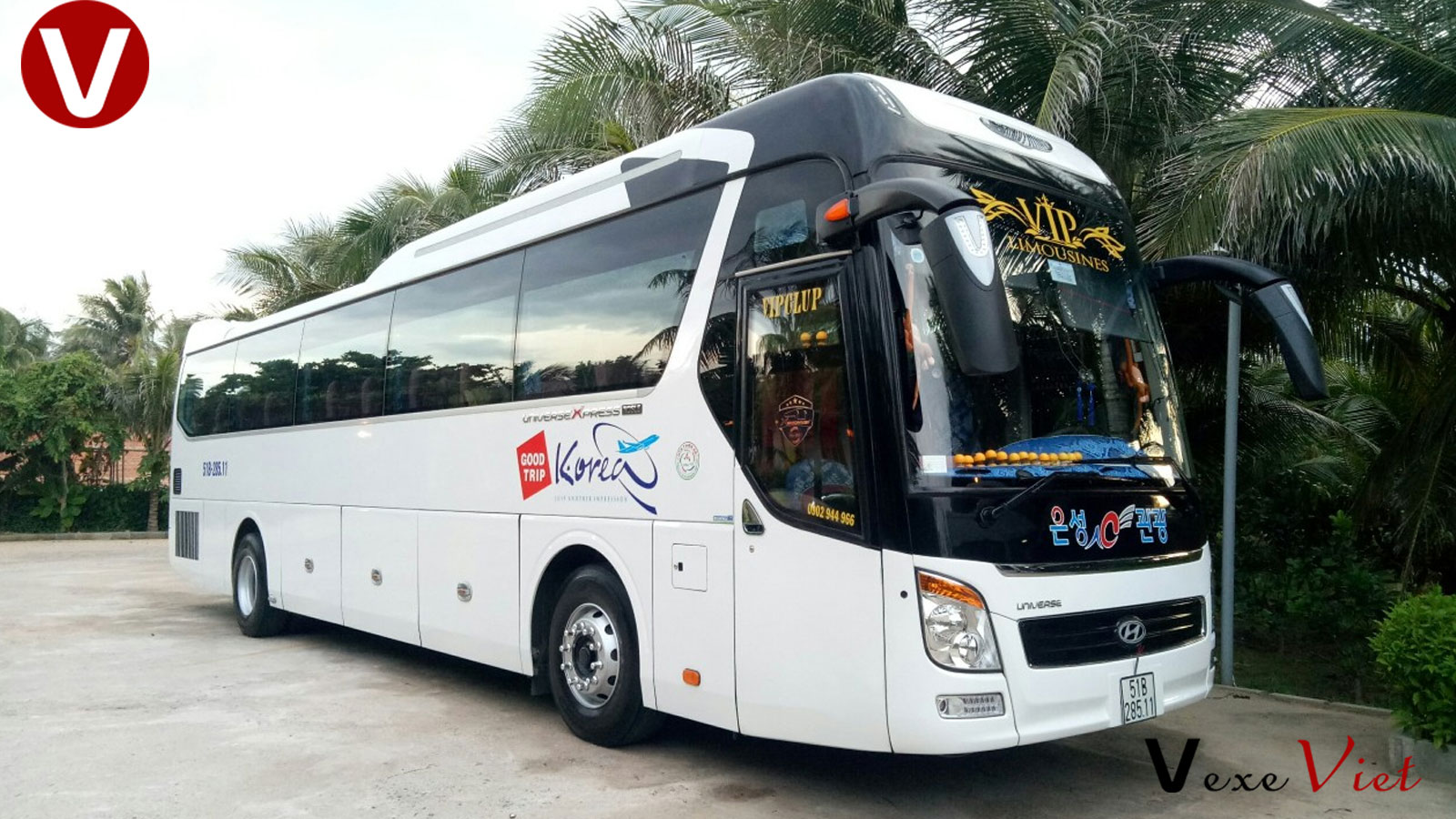 Cho Thuê Xe 45 Chỗ Đi Đồ Sơn Từ Đông Anh Hà Nội Giá Rẻ